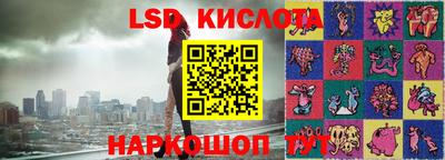 гашик Донской
