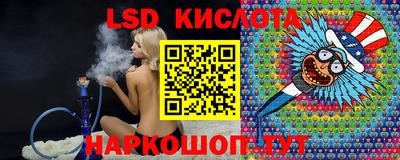 гашик Донской