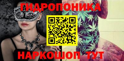 гашик Донской