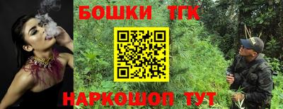spice Дубна