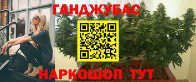 гашик Донской