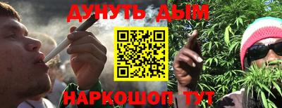гашик Донской