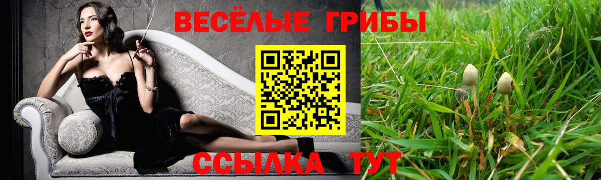 Галлюциногенные грибы MAGIC MUSHROOMS Лосино-Петровский