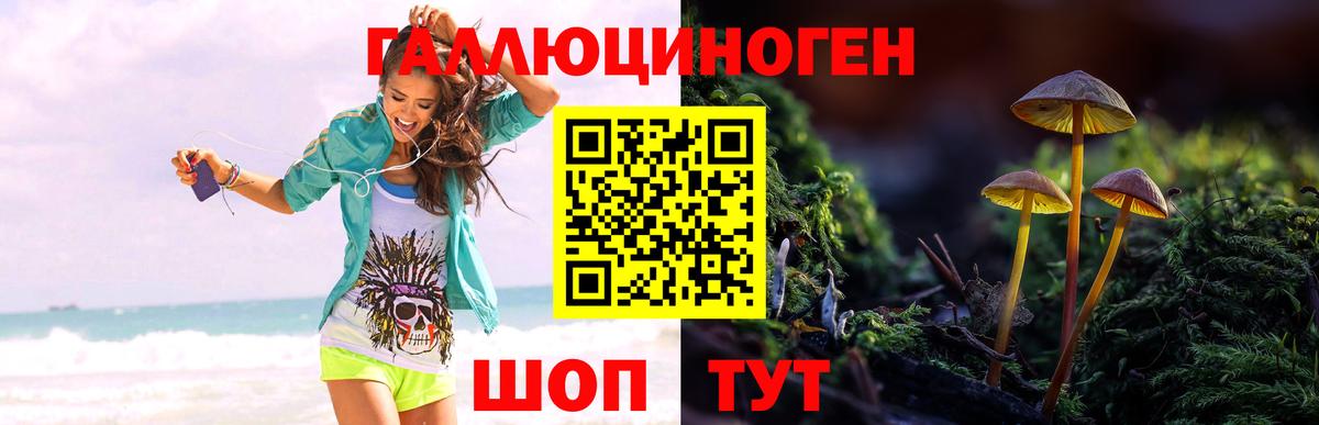 Галлюциногенные грибы MAGIC MUSHROOMS  Вход с VPN  Галлюциногенные грибы Magic Shrooms  Лосино-Петровский 